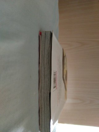 JUNJO ROMANTICA 01 (COMIC)