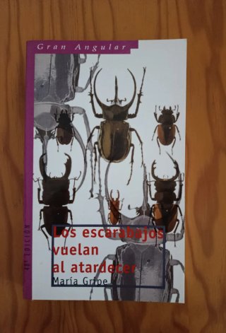 Lote 9 libros juveniles