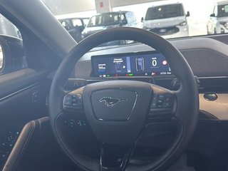 Ford Mustang Mach-E Base RWD Rango Estánd. (Bat. LFP) 198kW
