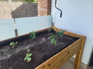 Mesa de cultivo de madera