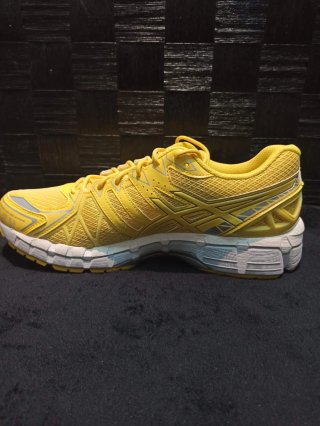 Asics Gel Kayano 20 Edición 20 Aniversario