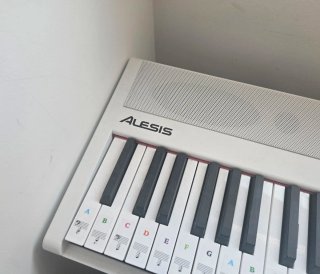 Piano Alesis 88 teclas contrapeso