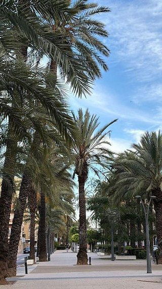 Local comercial en venta en Algemesí