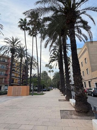 Local comercial en venta en Algemesí