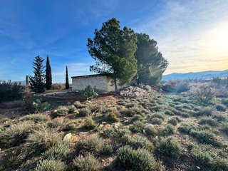 Terreno en venta en Abarán