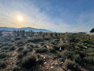 Terreno en venta en Abarán
