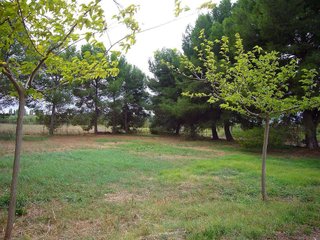Casa en alquiler en Partides de Lleida en Lleida