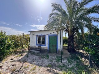 Solar en venta en Mula