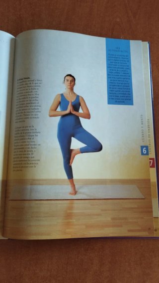 El yoga fácil un programa de yoga personal que ...