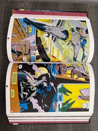 Batman: La caída del caballero oscuro vol. 1 de 2