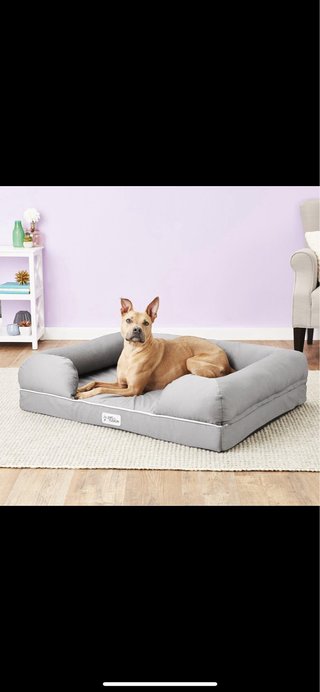 Cama Perro Jumbo PetFusion Lounge Gris