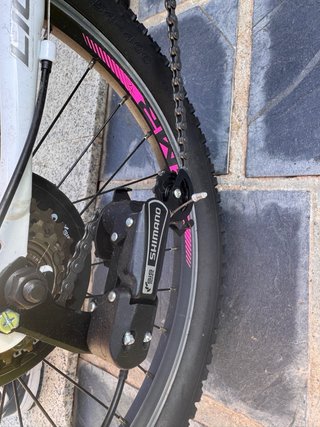 Bicicleta Licorne 20 Infantil