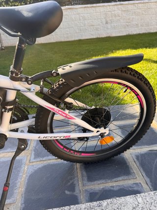 Bicicleta Licorne 20 Infantil
