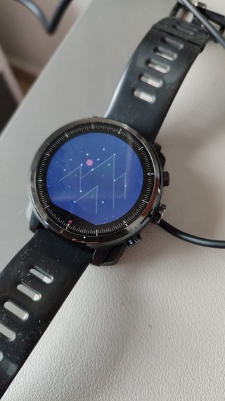 Amazfit Stratos 2 Smartwatch Negro/Plata