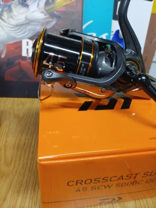 Pareja Cañas Pesca Daiwa + Carretes