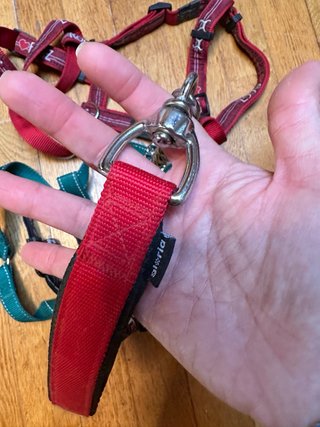 Correa, collar y 2 arneses para perro