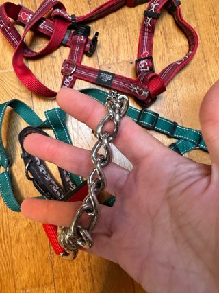 Correa, collar y 2 arneses para perro