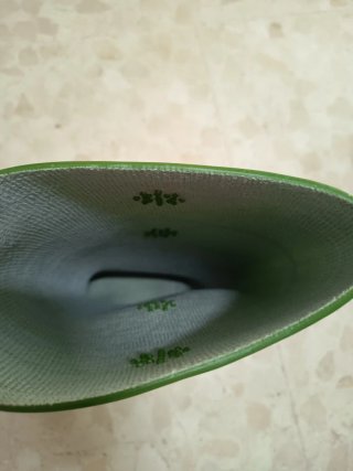 Botas de agua.