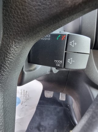 Renault Trafic 2021