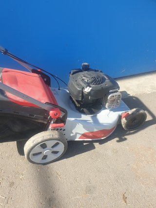 Cortacésped Sterwins con motor Briggs & Stratton