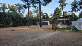 Chalet independiente - Parcela de 2600mts