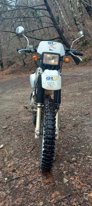 Honda XR250 Enduro/Motocross 2001