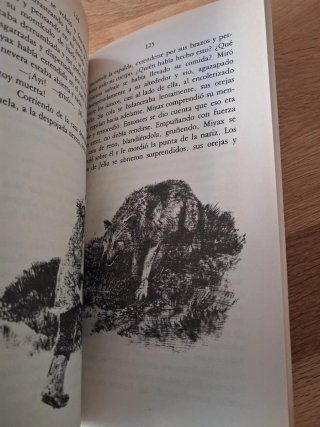 Literatura juvenil