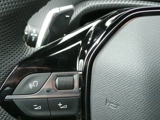 Peugeot 2008 GT 1.5 BLUEHDI 130CV EAT8