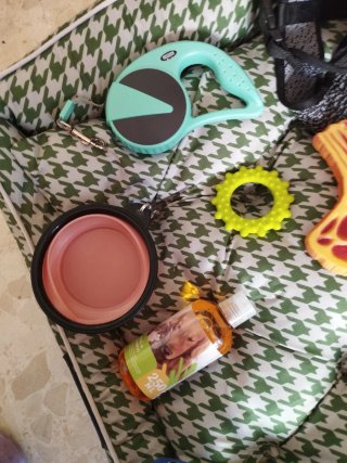 Artículos para mascotas: cama, juguetes y accesori