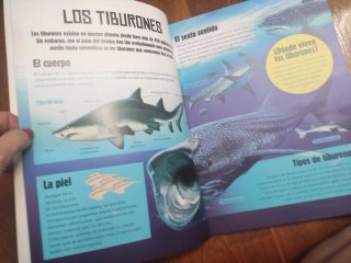 Construye tu tiburón