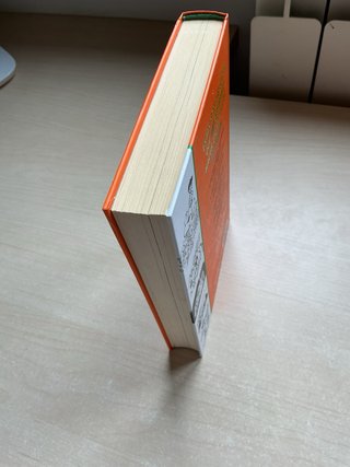 Los peores años de mi vida 9 : Atrapado en Aust...