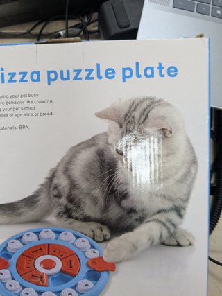 Plato interactivo para mascotas Pet pizza