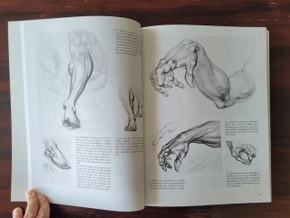 El dibujo de la figura humana a su alcance