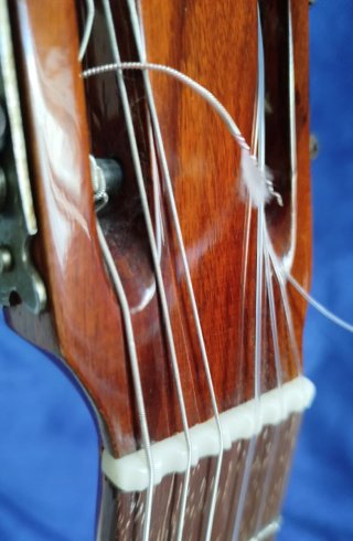 Ramón Delclos. Guitarra Flamenca.