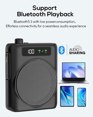 Amplificador de voz con micrófono inalámbrico