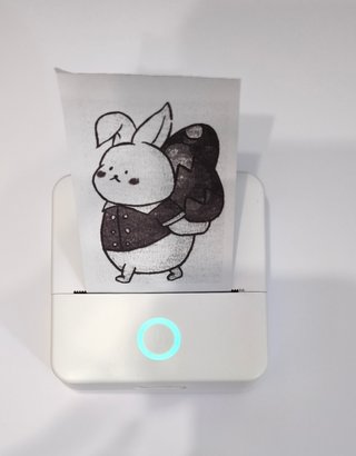 Mini Impresora Térmica Bluetooth + 11 Rollos