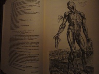De humani corporis fabrica T. II
