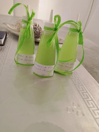 Champú Aloe Vera , Laurel y Ricino 150ml