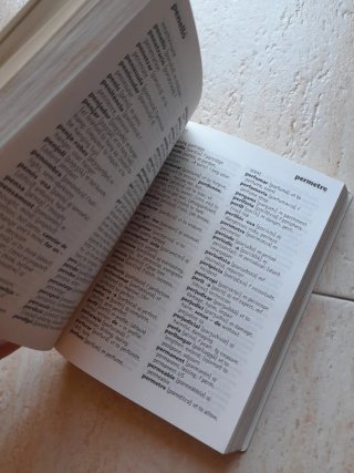 Basic Catalan-english & English-catalan Dictionary
