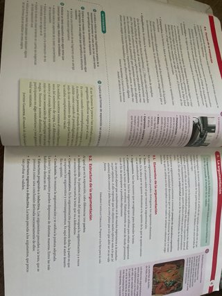 Lengua castellana y literatura 1 Bach Santillana