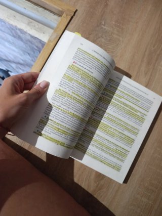 DERECHO ADMINISTRATIVO BÁSICO. VOLUMEN II (DÚO)