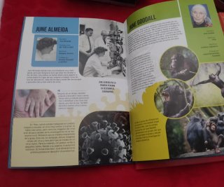 2 libros infantiles
