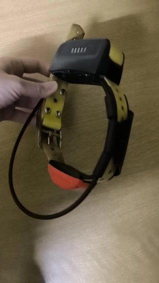 Garmin Alpha 50 + Collar T5 GPS Perros