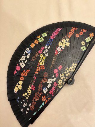 Abanico Diseñadores Flores Negro