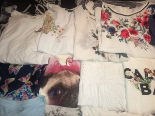 Lote Ropa Mujer Multicolor
