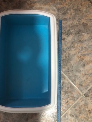 Box per gatti