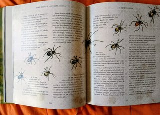 2 Libros de Harry Potter con ilustraciones.