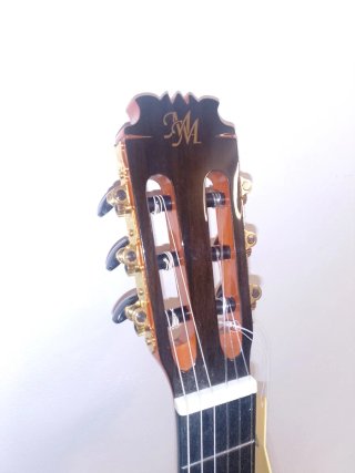 Guitarra autoamplificada NO NEGOCIABLE