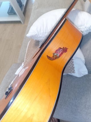 Guitarra autoamplificada NO NEGOCIABLE