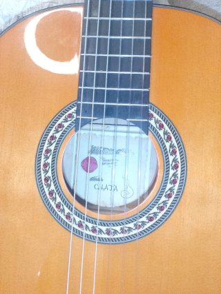 Guitarra autoamplificada NO NEGOCIABLE